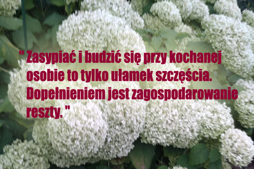 SMS-y na dobranoc