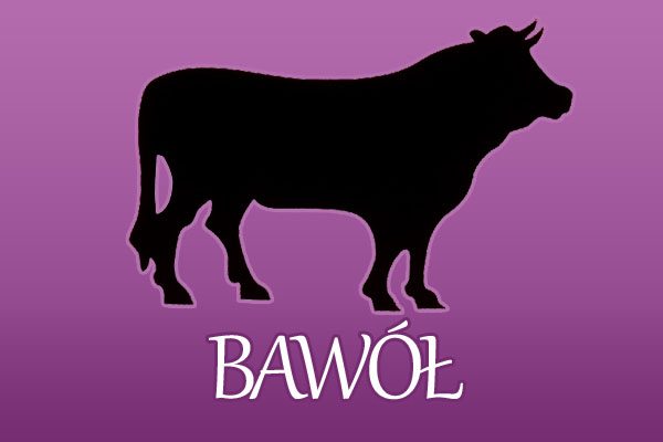 Bawół - chiński znak zodiaku