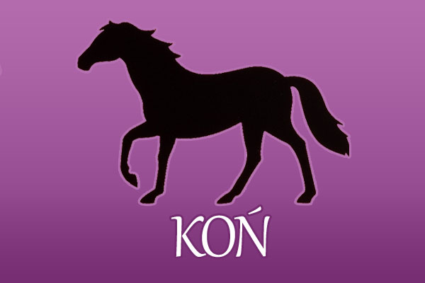 Kon - chiński znak zodiaku