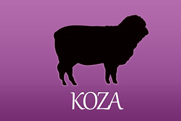 Koza - chiński znak zodiaku