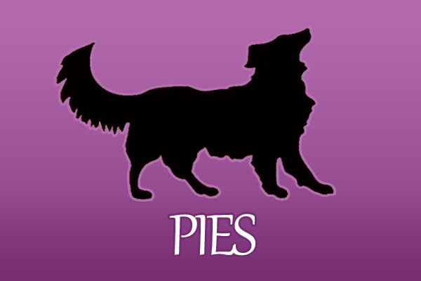 Pies - chiński znak zodiaku