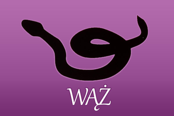 Wąż - chiński znak zodiaku